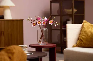 Magnolienzweige