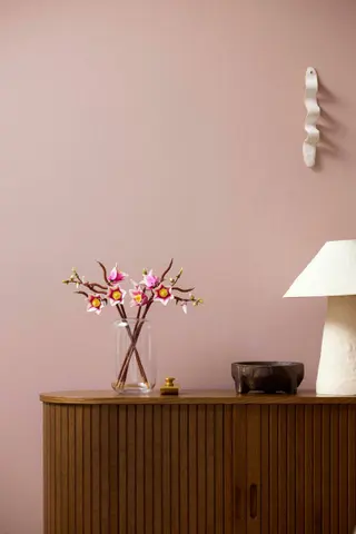 Magnolienzweige