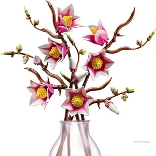 Magnolienzweige