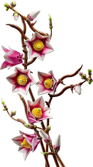 Magnolienzweige