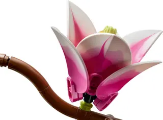 Magnolienzweige