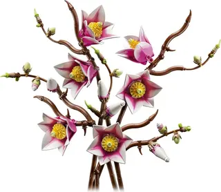 Magnolienzweige