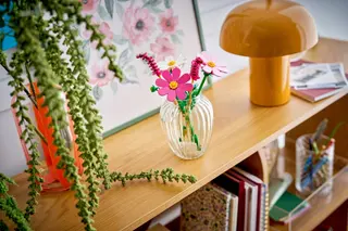 Cosmosbloemen