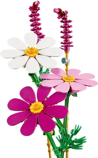 Cosmosbloemen
