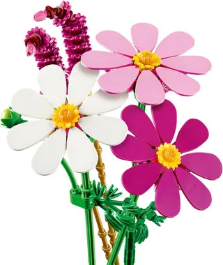 Cosmosbloemen