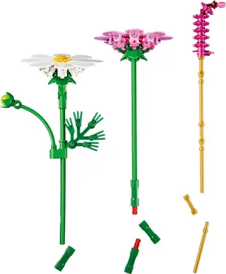 Cosmosbloemen