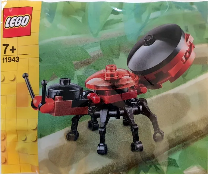 Ant