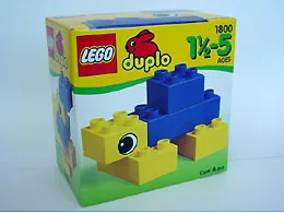 Turtle