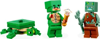 The Turtle Beach House