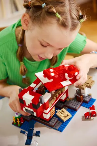 Het Mooshroom Huis