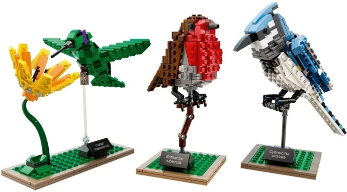 Birds