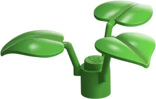 Tree House