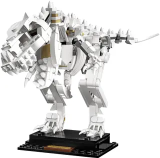 Dinosaurusfossielen
