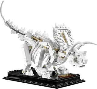 Dinosaurusfossielen