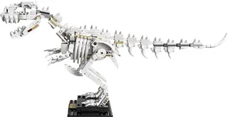 Dinosaurusfossielen