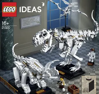 Dinosaurusfossielen