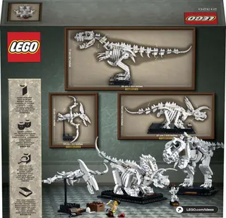 Dinosaurusfossielen