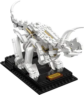 Dinosaurusfossielen