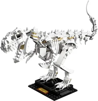 Dinosaurusfossielen