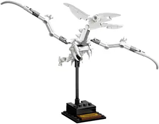 Dinosaurusfossielen