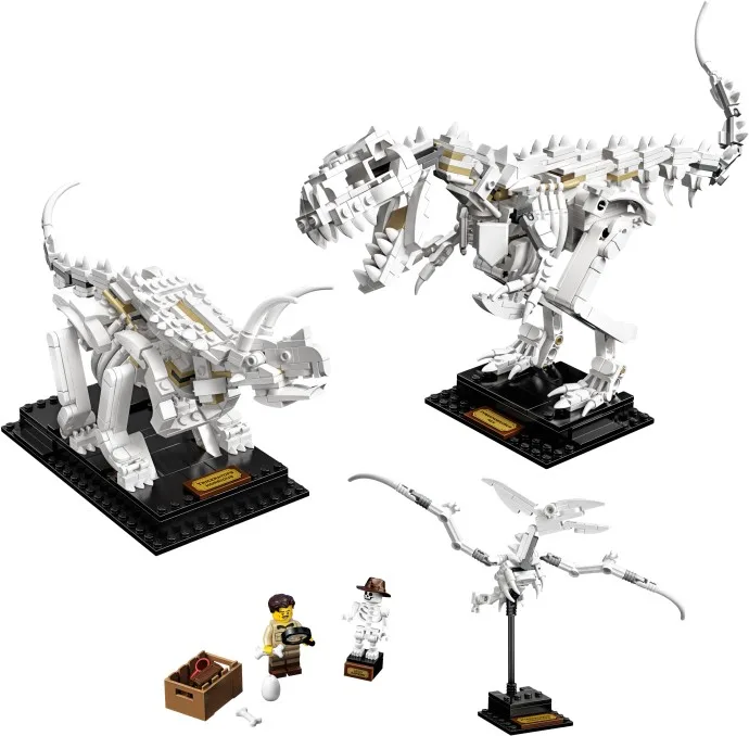 Dinosaurusfossielen