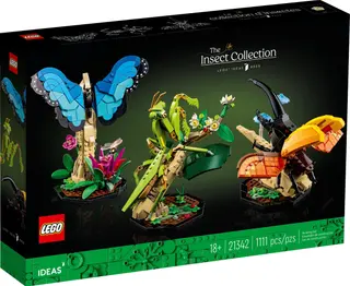 La collection d'insectes