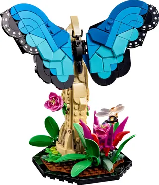 La collection d'insectes