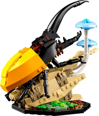 La collection d'insectes