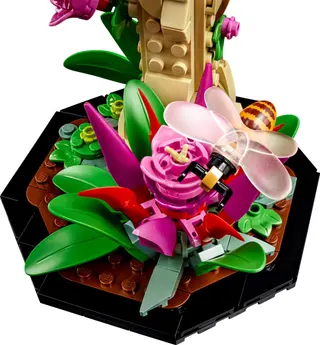 La collection d'insectes