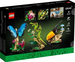 La collection d'insectes