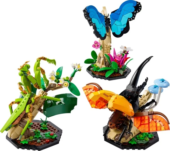 La collection d'insectes