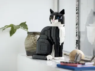 Chat smoking