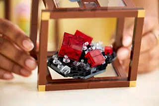 Collection de minéraux