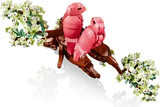 Liebesvögel