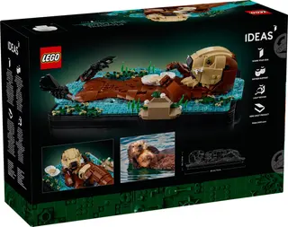 Schwimmende Seeotter