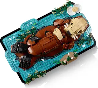 Schwimmende Seeotter