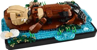 Schwimmende Seeotter