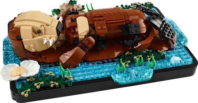 Schwimmende Seeotter