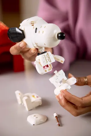 Peanuts: Snoopy's Doghouse