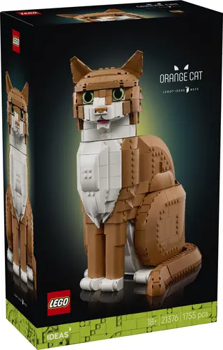 Chat orange