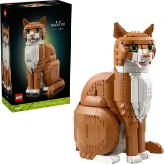Chat orange