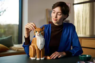 Chat orange