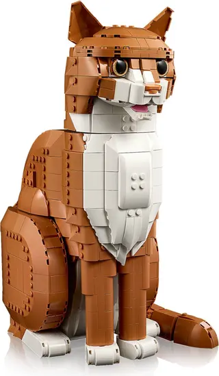 Chat orange