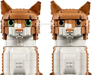 Chat orange