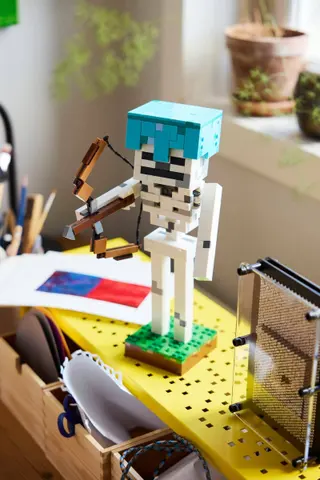 Het skelet