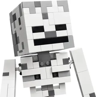 Het skelet