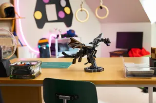 The Ender Dragon