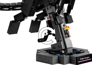 The Ender Dragon