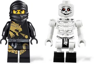 Ninjago Battle Arena