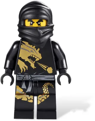 Ninjago Battle Arena